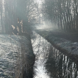 Mist 45 x 80 cm Forex